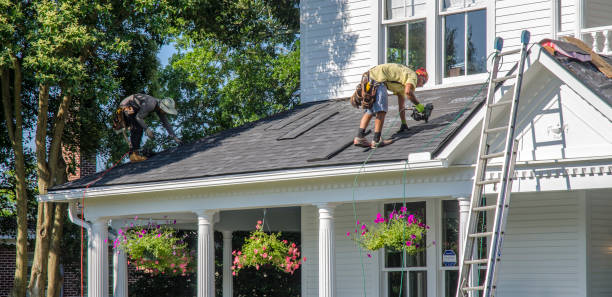 Best Storm Damage Roof Repair  in Grant, MN